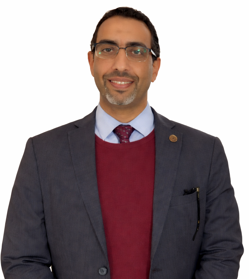 Mr. Mohamed Abdelmohsen